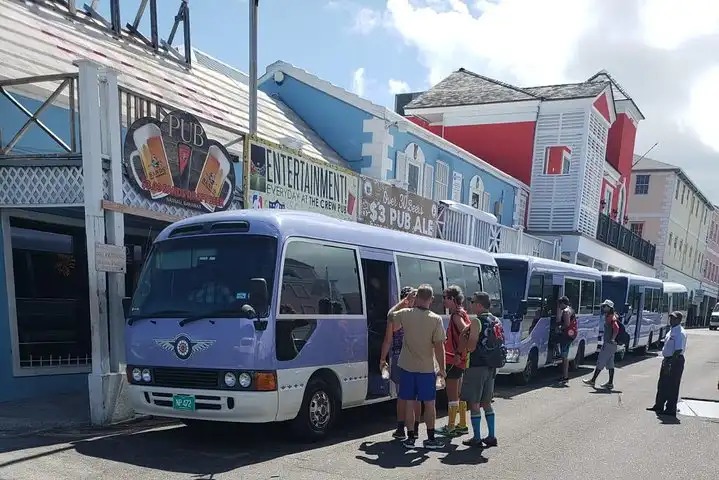 cruise terminal transfer